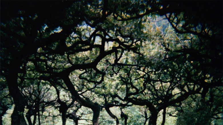 The Hedge Theater still 2