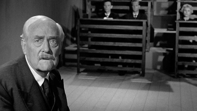 Wild Strawberries still 3