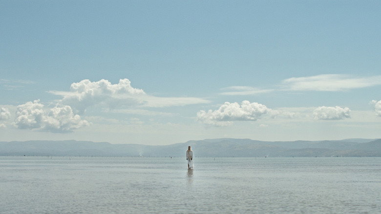 The New Gospel still 1