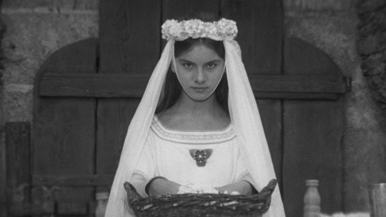 The Valley of the Bees still 7