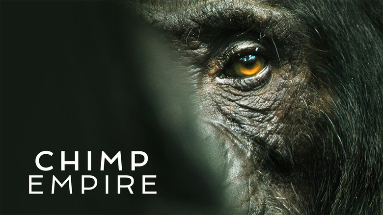 Chimp Empire still 4