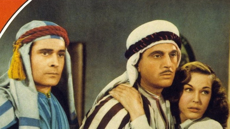 A Yank in Libya still 1