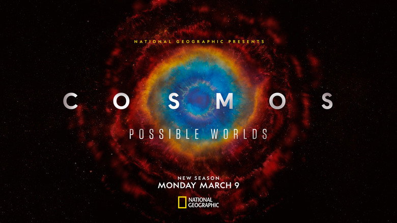 Cosmos still 6