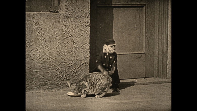 Wonder Dogs! Canine Stars of the Silent Era (1898-1928) still 4