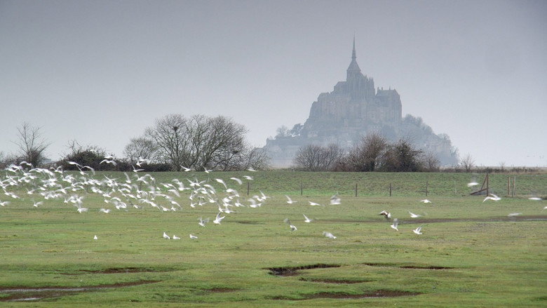 Mont Saint-Michel: The Enigmatic Labyrinth still 4
