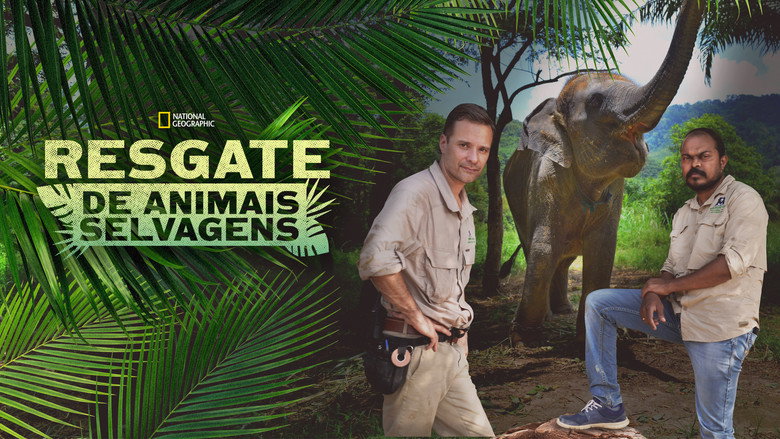 Jungle Animal Rescue still 6