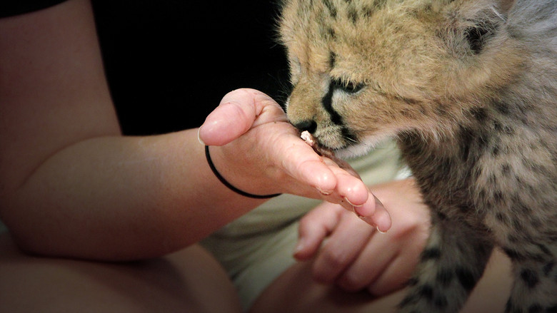 Secrets of the Zoo still 5