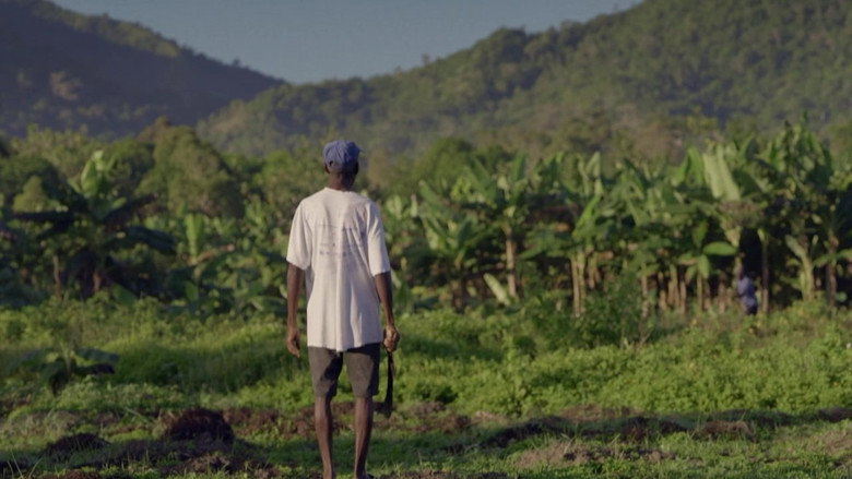 Haïti, la rançon de l'indépendance still 2