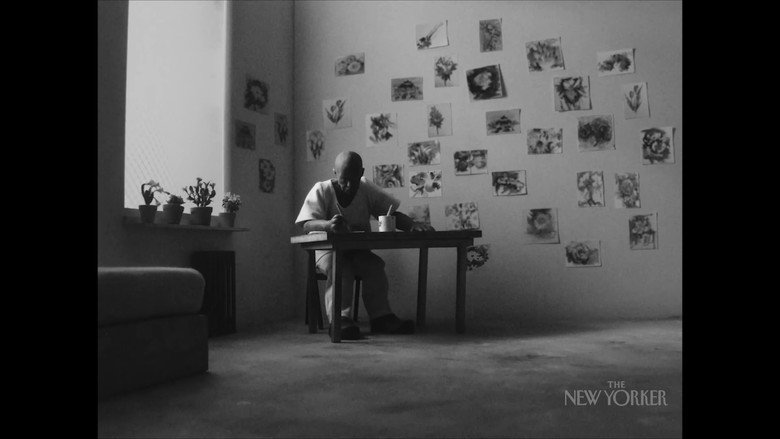 The Vandal still 5