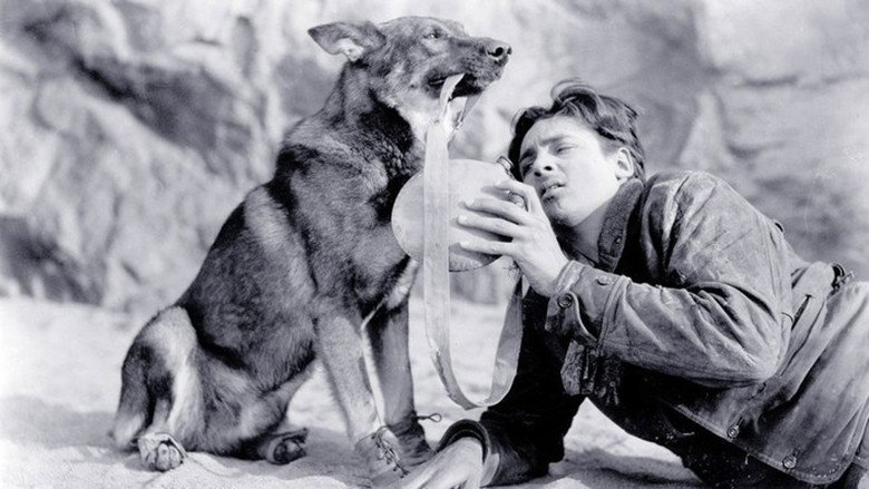 Clash of the Wolves still 5