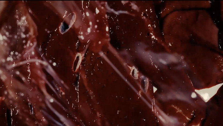 Visceral still 2