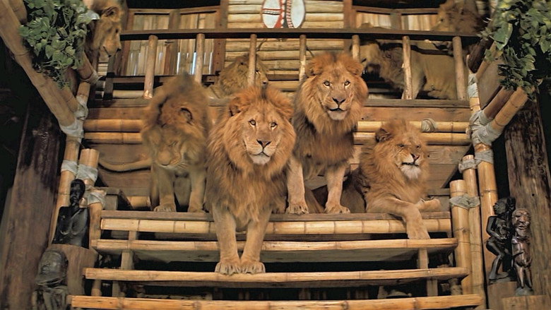 Roar still 8