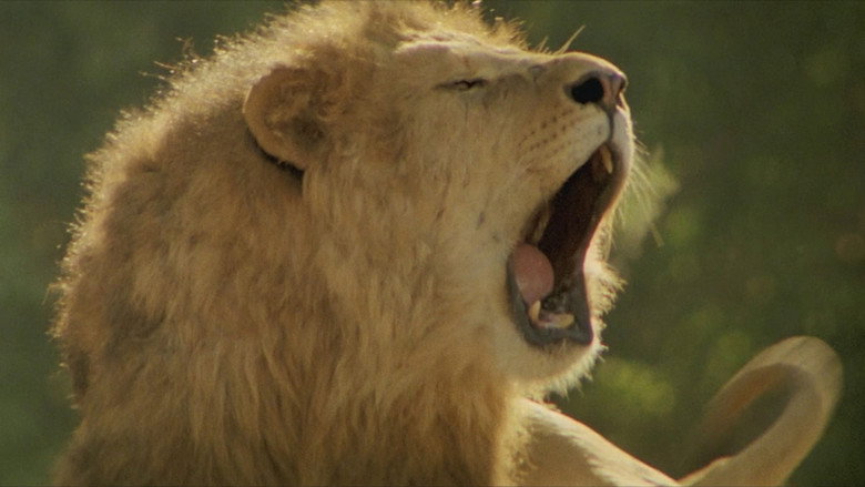 Roar still 4