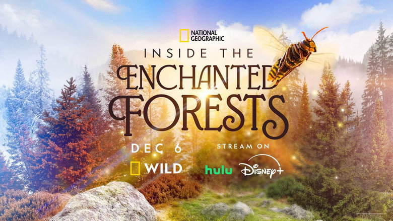 Inside the Enchanted Forests still 2