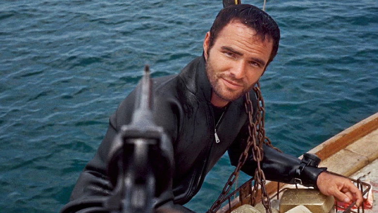 Shark still 4