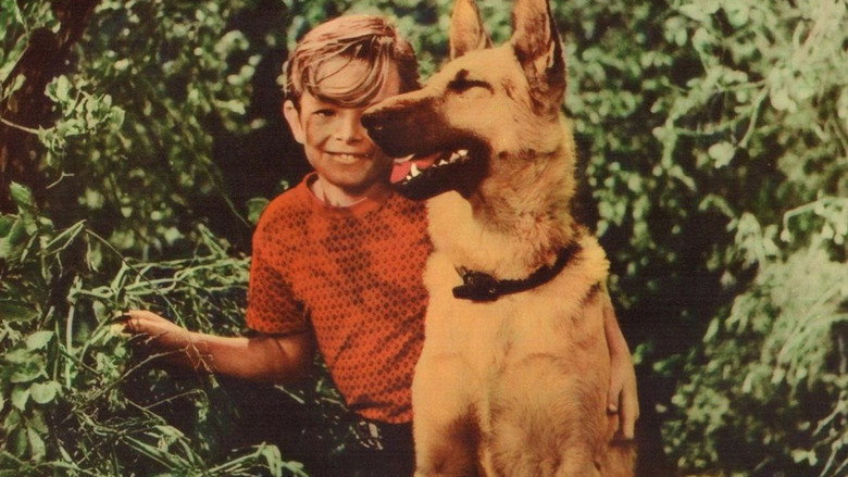 A Dog's Best Friend still 1