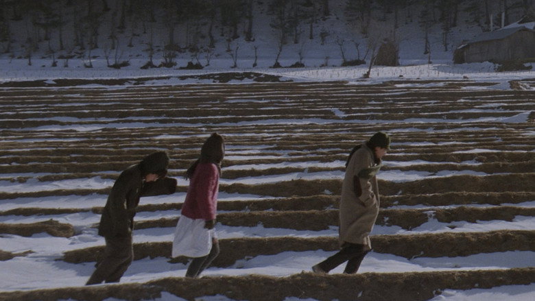 Whale Hunting still 3