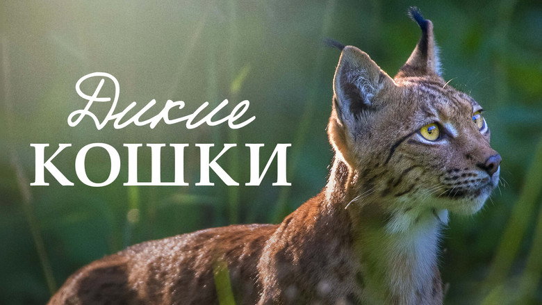 Lynx still 1