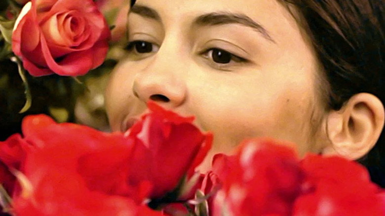 He Loves Me… He Loves Me Not still 2