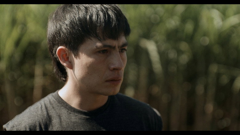 El silencio de la Tierra still 2