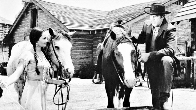 The Oregon Trail still 1