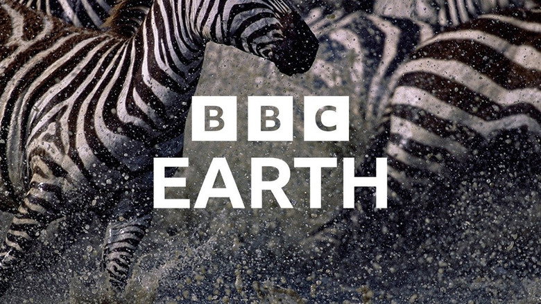Earth still 6