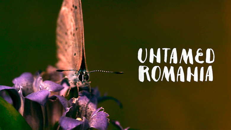 Untamed Romania still 7