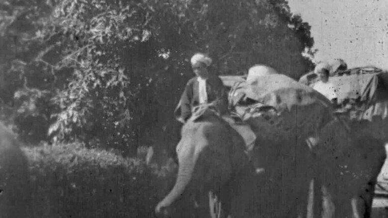 Land of the Elephants still 1