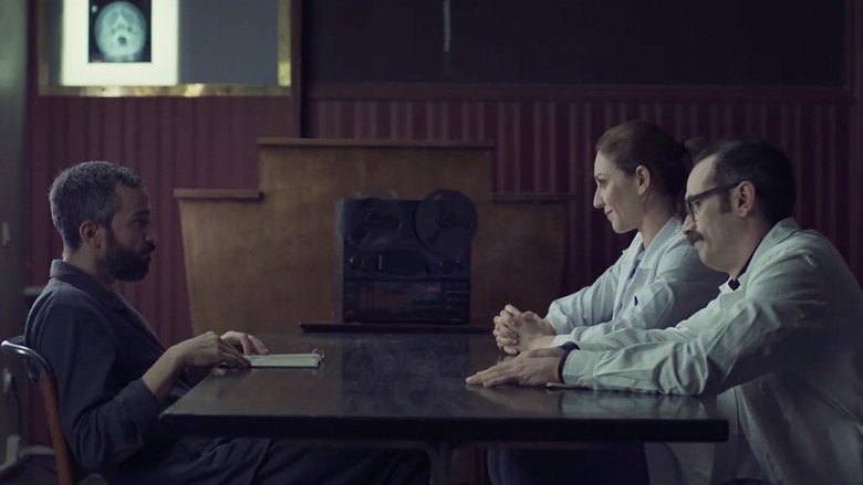 Apples still 7