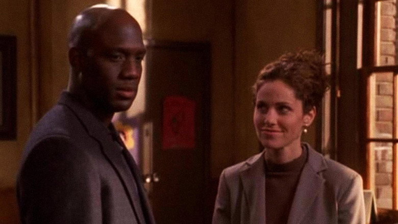 Judging Amy still 7