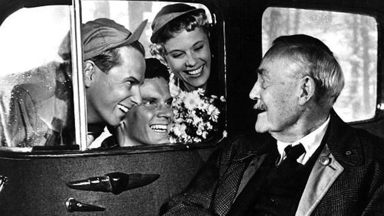 Wild Strawberries still 5