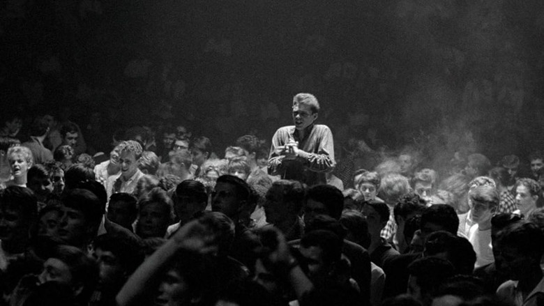 In Memory of Rock still 1
