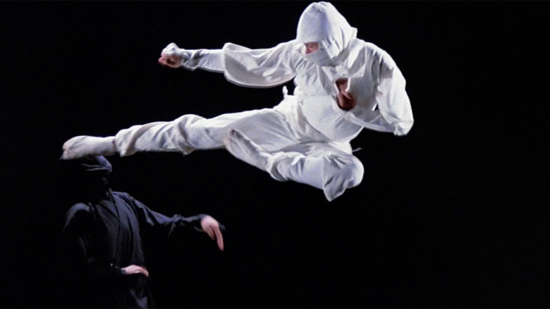 Enter the Ninja still 4