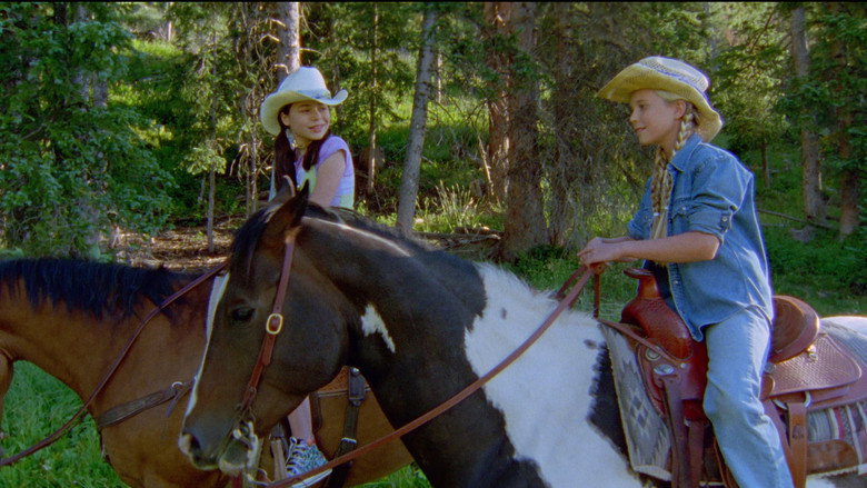 The Wild Stallion still 3