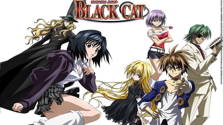 Black Cat still 7