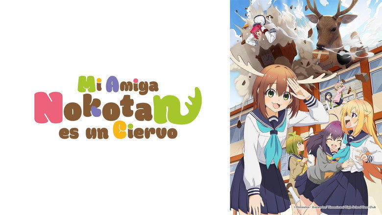 My Deer Friend Nokotan still 8