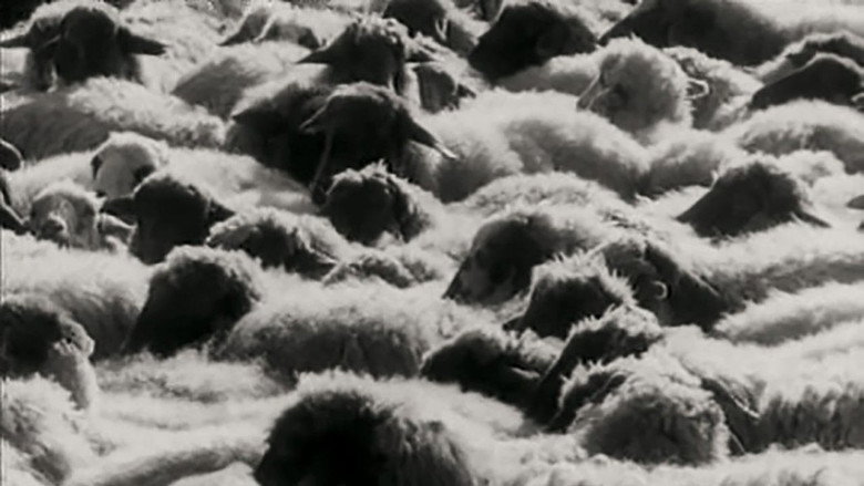 The Seasons still 4