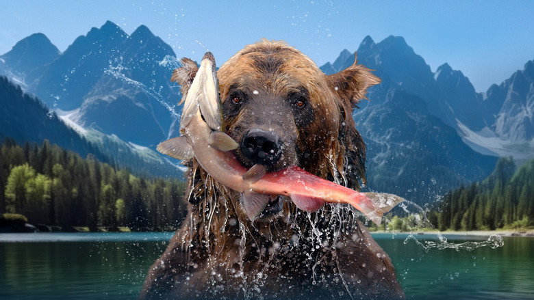 The Hungry Games: Alaska's Big Bear Challenge still 1
