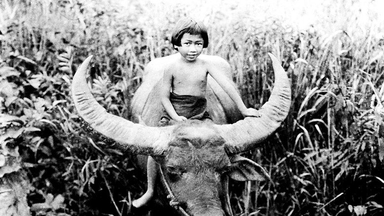 Chang: A Drama of the Wilderness still 1