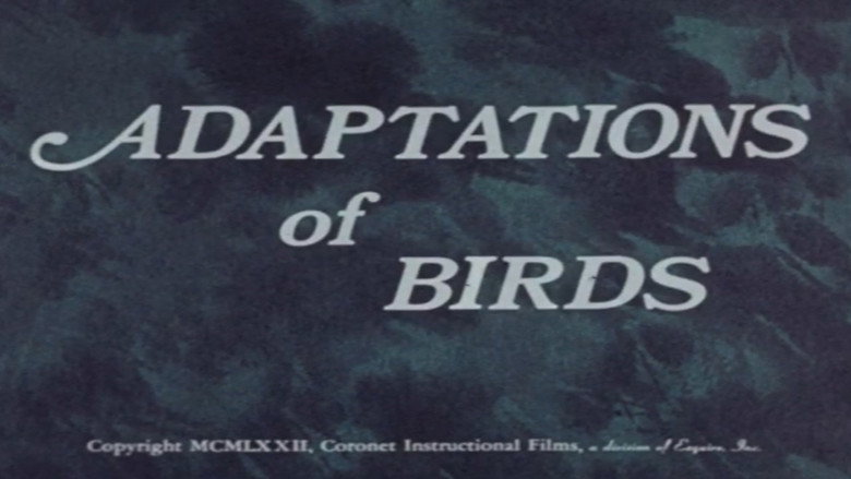 Adaptations of Birds still 1