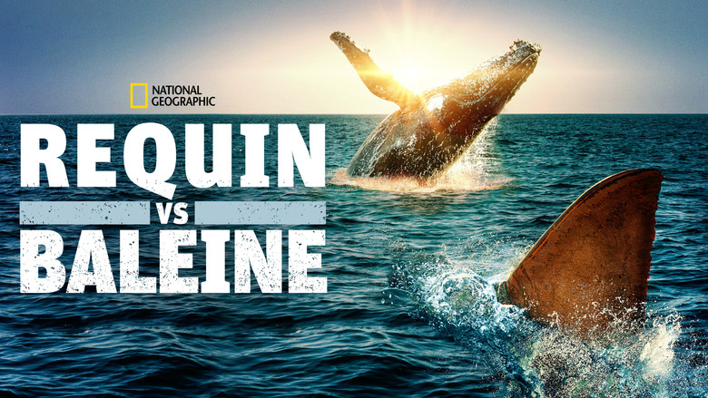 Shark Vs. Whale still 8