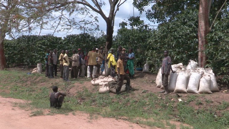 The Mubende Case and the bitter taste of eviction still 3