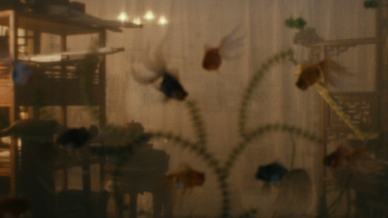 Farewell My Concubine still 5