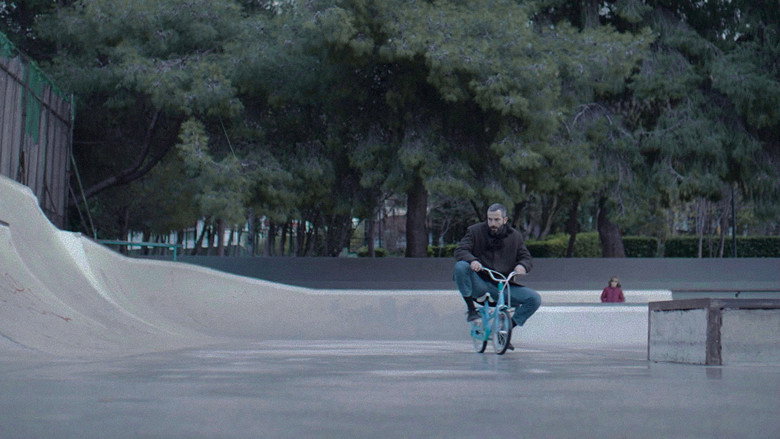 Apples still 3