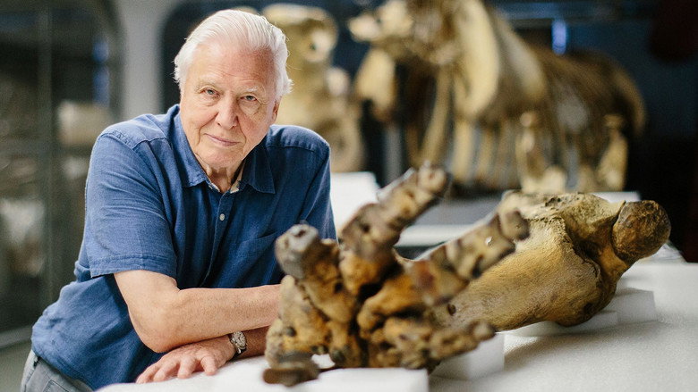 Attenborough and the Giant Elephant still 2