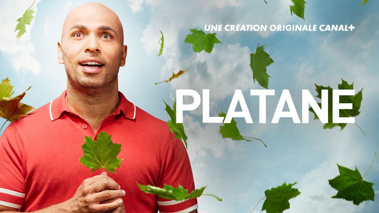 Platane still 4