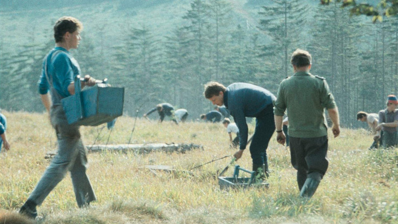 Farewell, Beautiful Forest… or How a Film Was Censored still 3