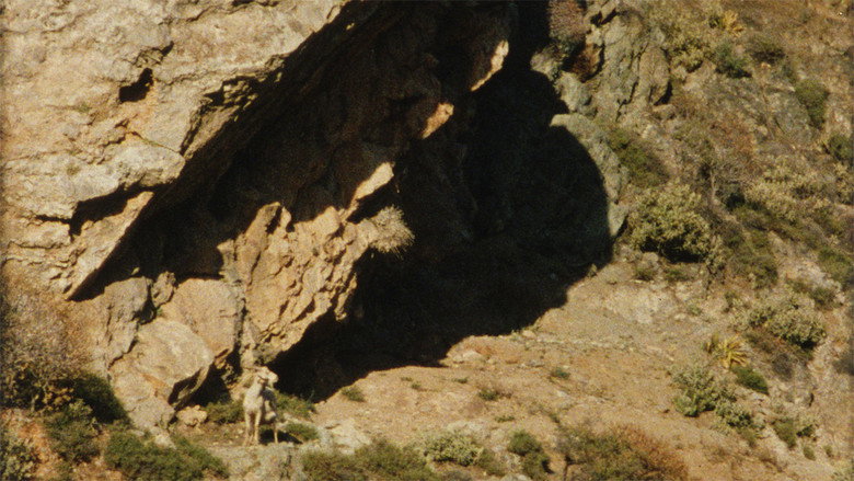 The Ground still 3