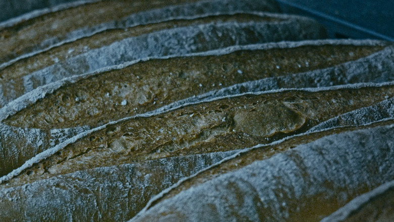 The Mechanics of Film still 6