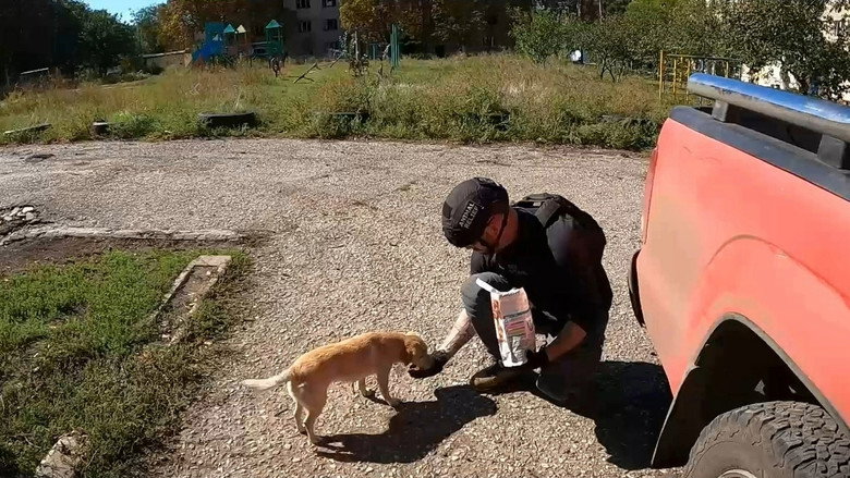 Dogs and War: What I saw in Ukraine still 7